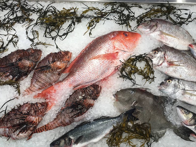 Greenpoint Fish & Lobster Co. LIC Market