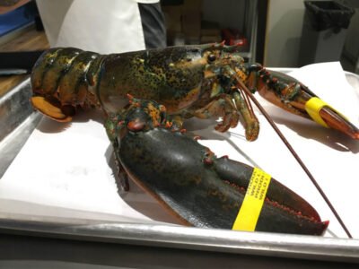 Greenpoint Fish & Lobster Co. LIC Market