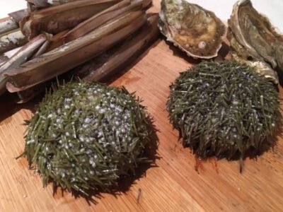 Greenpoint Fish & Lobster Co. LIC Market