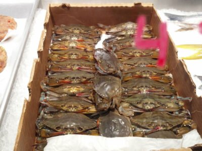 Greenpoint Fish & Lobster Co. LIC Market