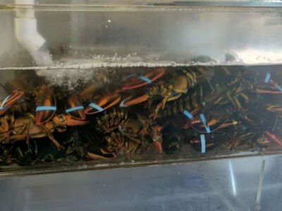 Kings Fish & Seafood Market